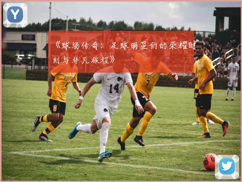 《球场传奇：足球明星们的荣耀时刻与非凡旅程》