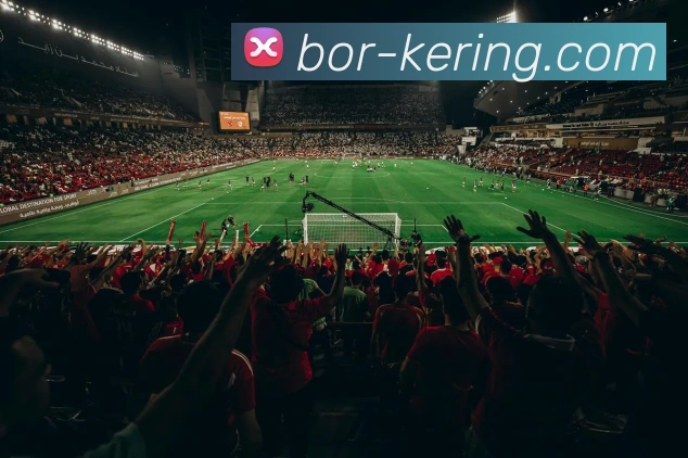 卡里姆本泽马荣耀与争议并存的绿茵传奇人生