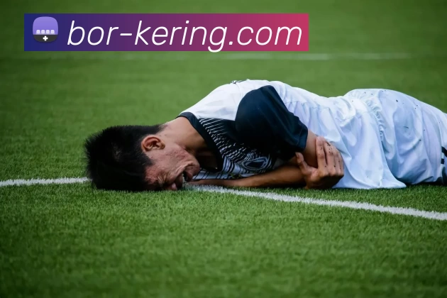 多媒体互动体验