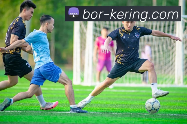 开云官网APP 高清赛事图